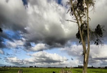 九游娱乐网站-摩纳哥客场取胜马赛，法甲中游战队脱颖而出