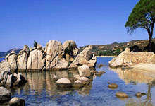 九游体育直播-波黑国家队备战全力,备战欧洲赛区备受瞩目