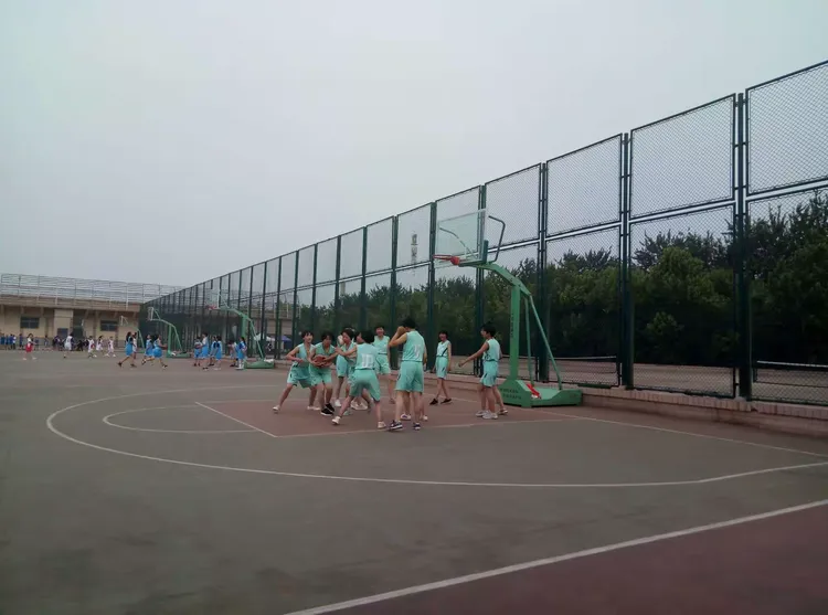 韩国篮球职业联赛成绩优异,晋级前景看涨 韩国篮球职业联赛成绩优异,晋级前景看涨