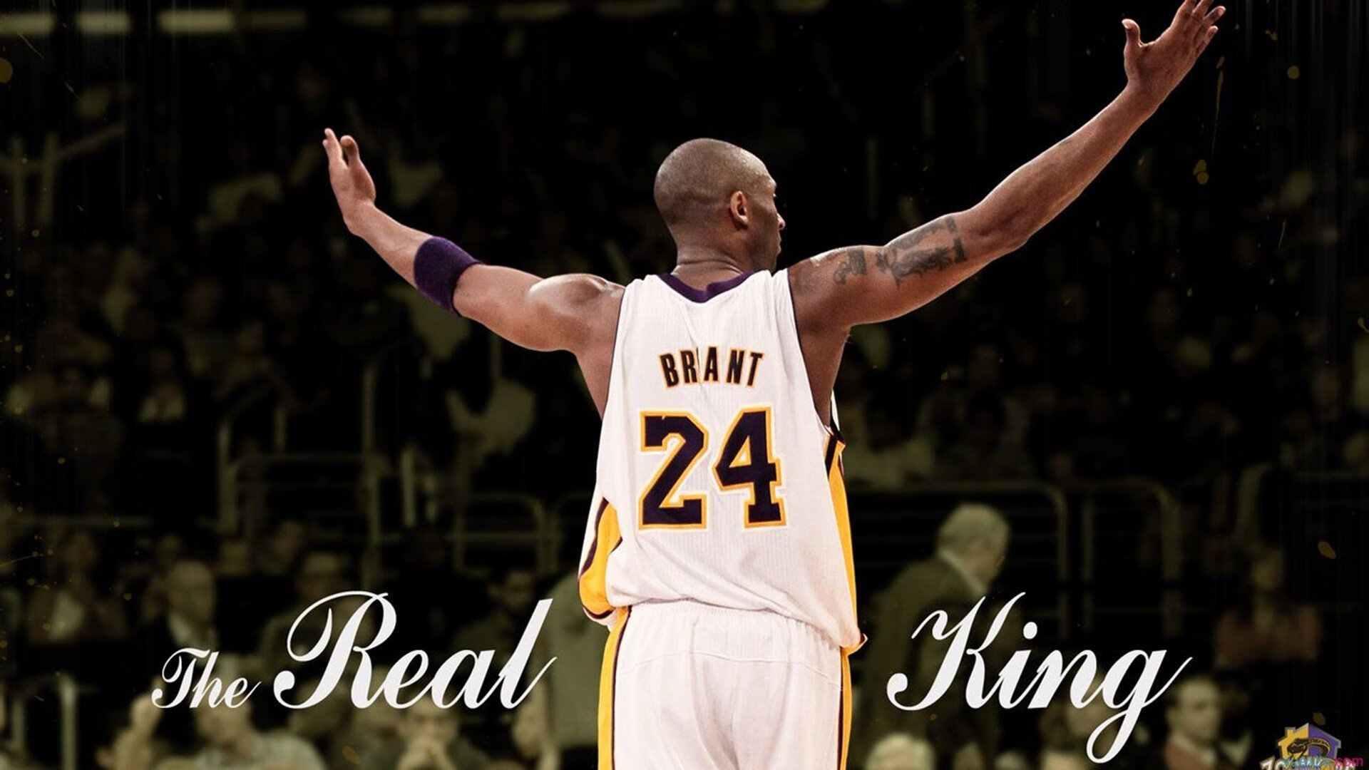 新火燎原，当我们的狂欢胜过我的加冕